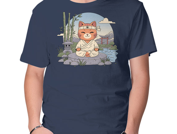 Meditating Cat