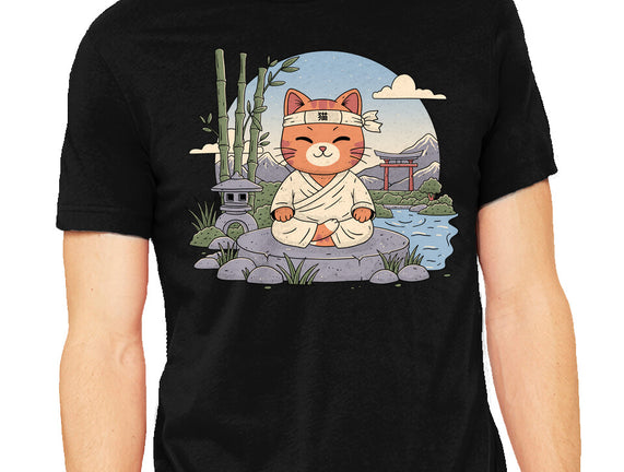Meditating Cat