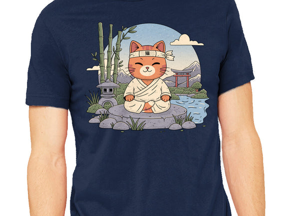 Meditating Cat