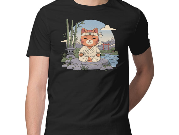 Meditating Cat