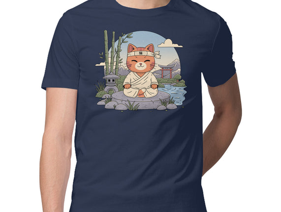 Meditating Cat