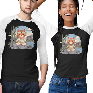 Meditating Cat