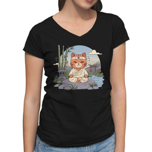 Meditating Cat