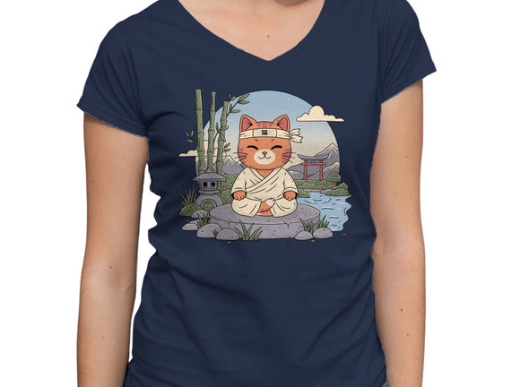 Meditating Cat