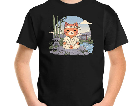 Meditating Cat