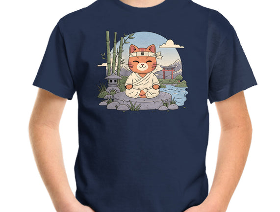 Meditating Cat