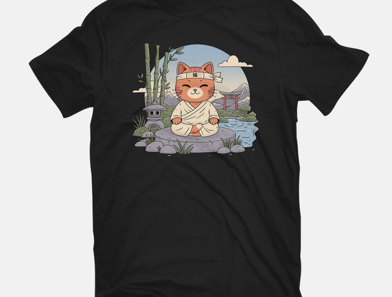 Meditating Cat