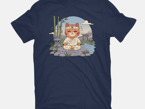 Meditating Cat