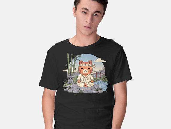 Meditating Cat