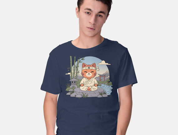 Meditating Cat