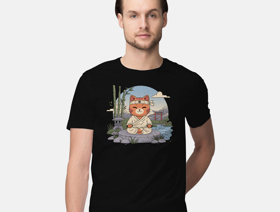 Meditating Cat