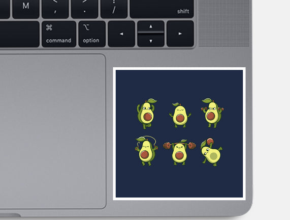Avocardio