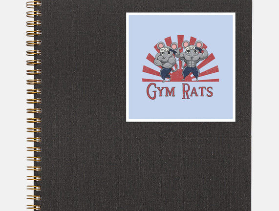 Gym Rats