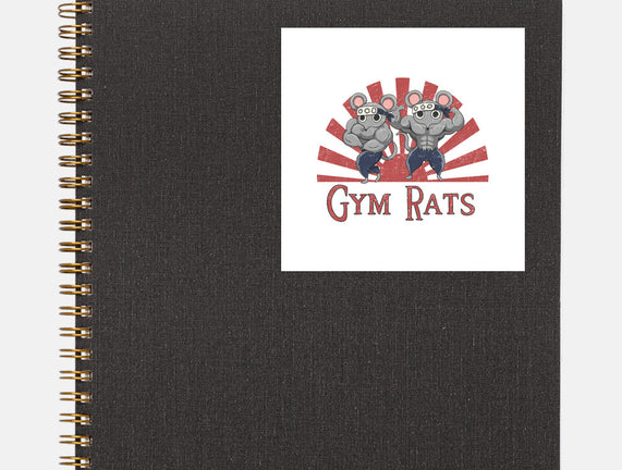 Gym Rats