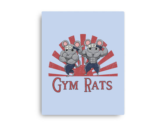 Gym Rats