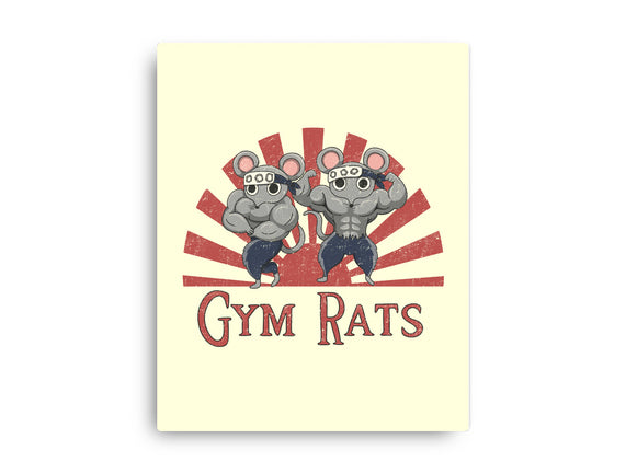 Gym Rats