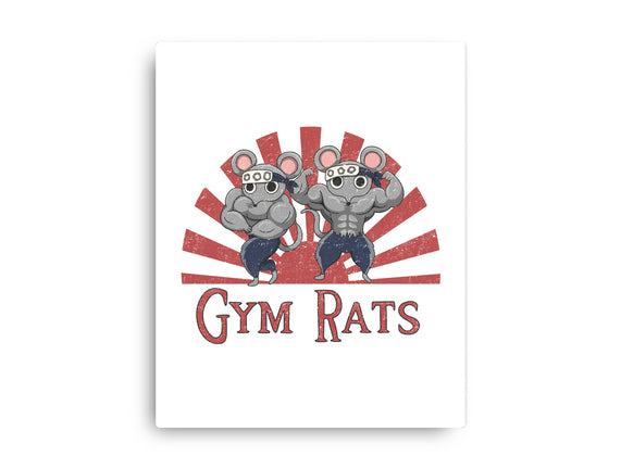 Gym Rats
