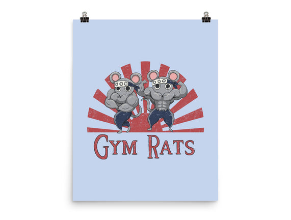 Gym Rats