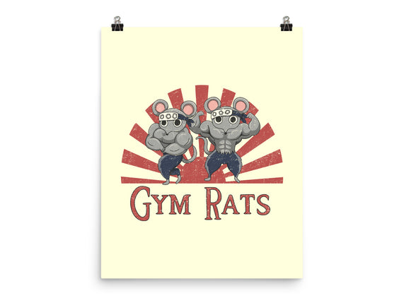 Gym Rats