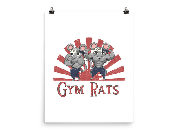 Gym Rats