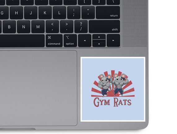Gym Rats