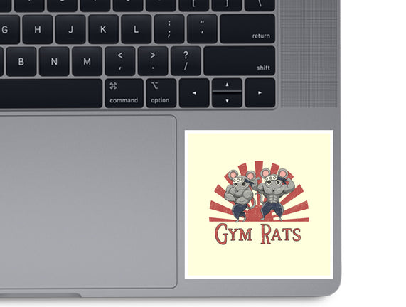 Gym Rats