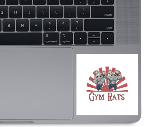 Gym Rats