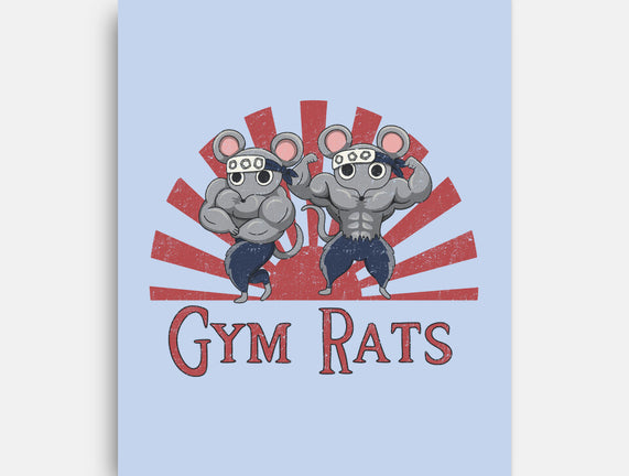 Gym Rats