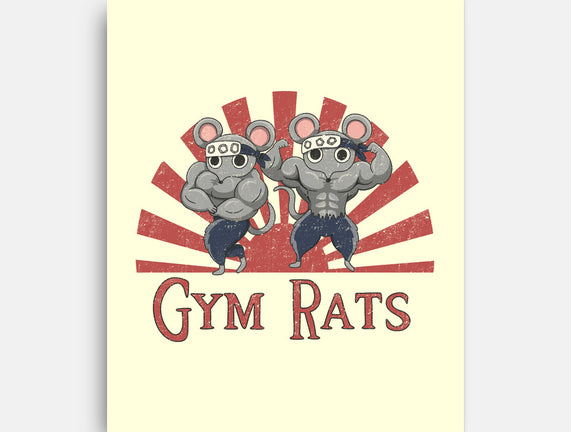 Gym Rats