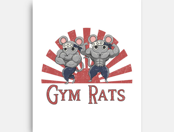 Gym Rats