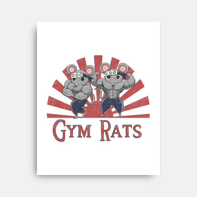 Gym Rats-None-Stretched-Canvas-Loobs