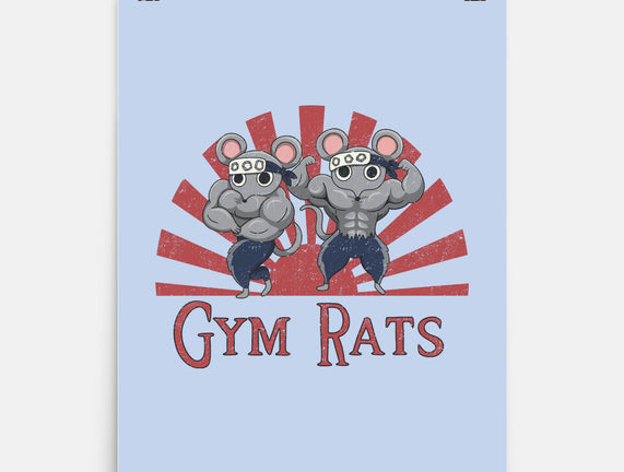 Gym Rats