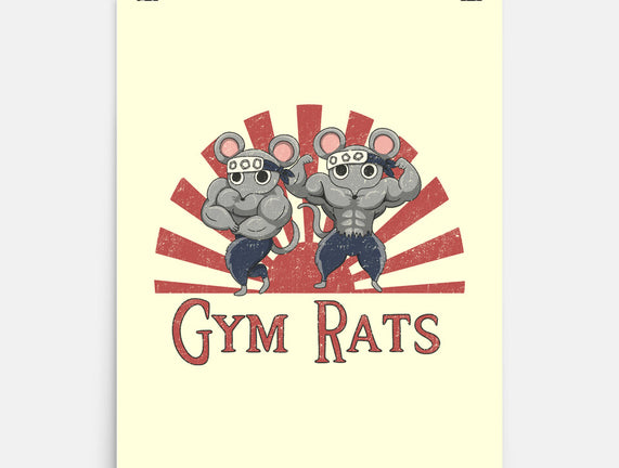 Gym Rats