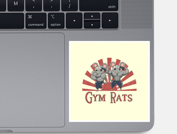 Gym Rats