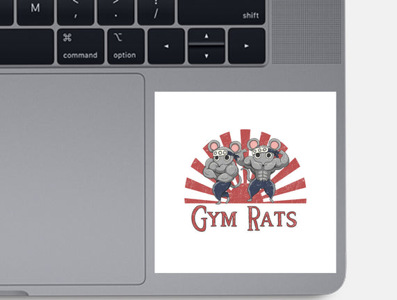 Gym Rats