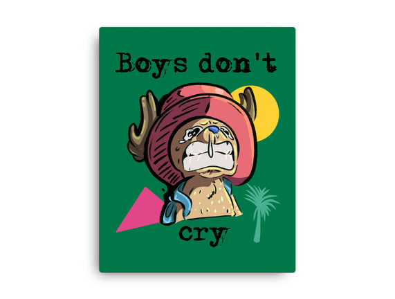 Boys Don't Cry