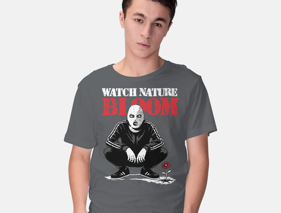 Squat Graffiti Spring