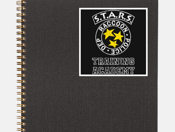 Stars Training Academy