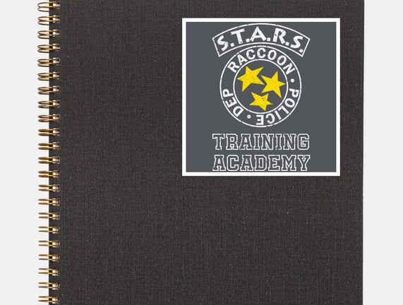 Stars Training Academy