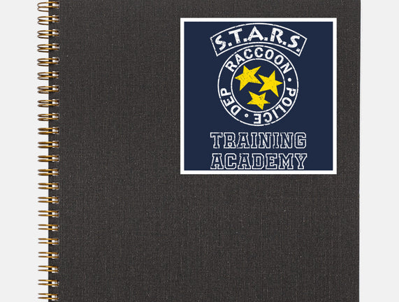Stars Training Academy
