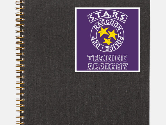 Stars Training Academy