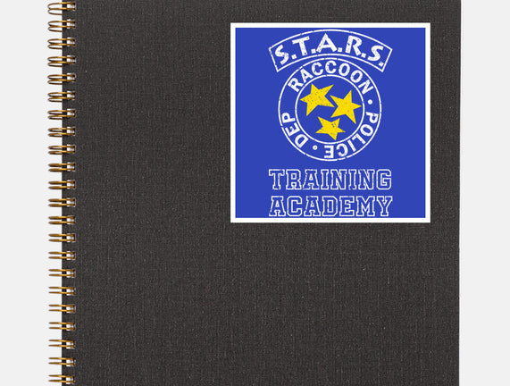 Stars Training Academy