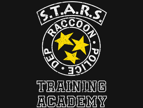 Stars Training Academy