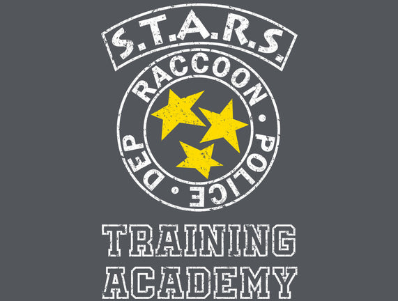 Stars Training Academy