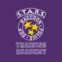 Stars Training Academy-None-Glossy-Sticker-DrMonekers