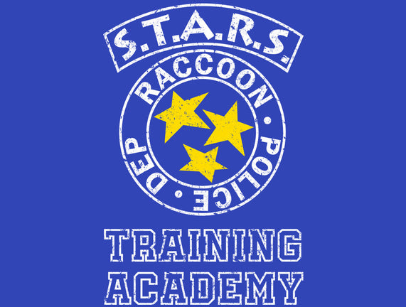 Stars Training Academy