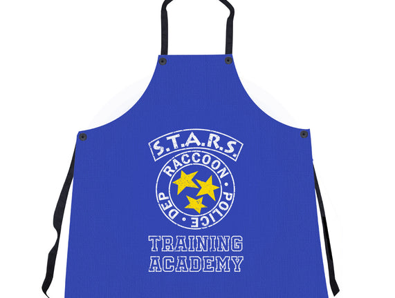 Stars Training Academy