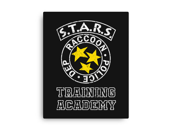 Stars Training Academy