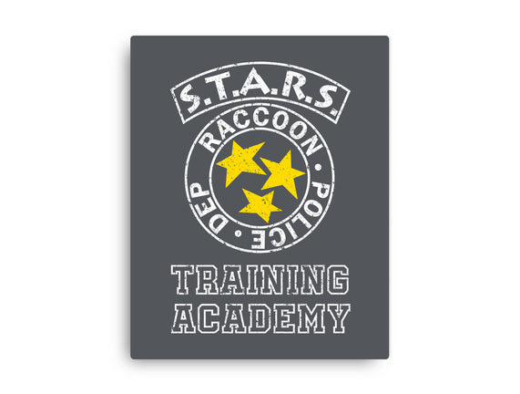 Stars Training Academy