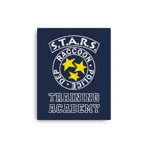 Stars Training Academy